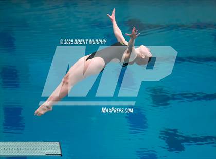 Thumbnail 1 in CHSAA 4A Dive Finals photogallery.