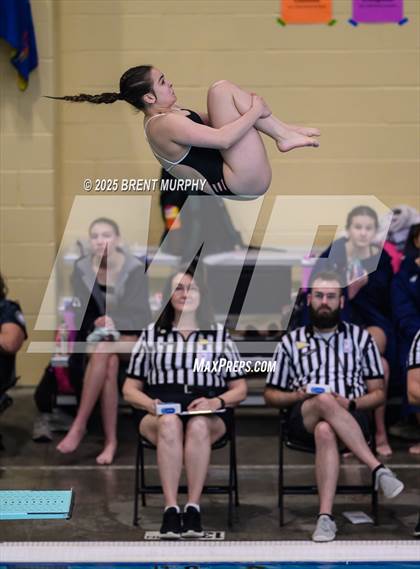 Thumbnail 1 in CHSAA 4A Dive Finals photogallery.