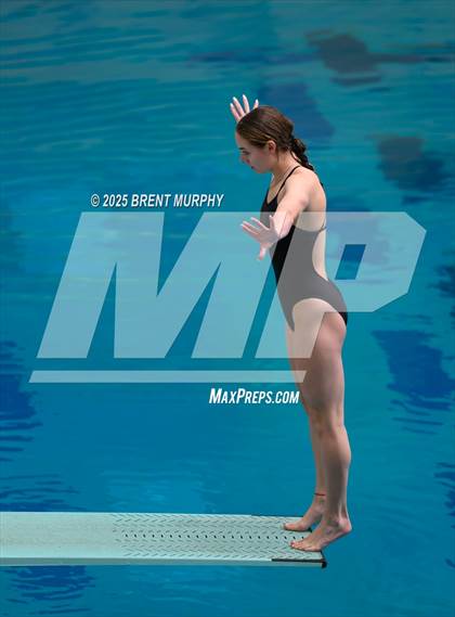 Thumbnail 1 in CHSAA 4A Dive Finals photogallery.