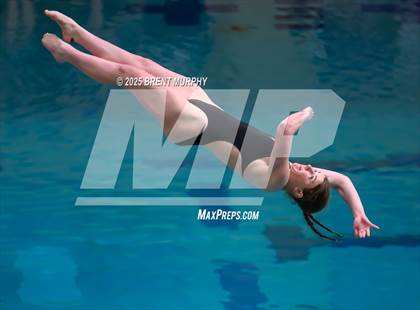 Thumbnail 2 in CHSAA 4A Dive Finals photogallery.