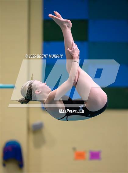 Thumbnail 2 in CHSAA 4A Dive Finals photogallery.