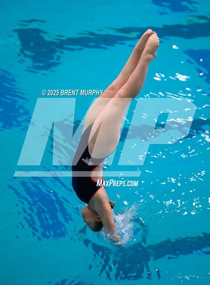 Thumbnail 1 in CHSAA 4A Dive Finals photogallery.