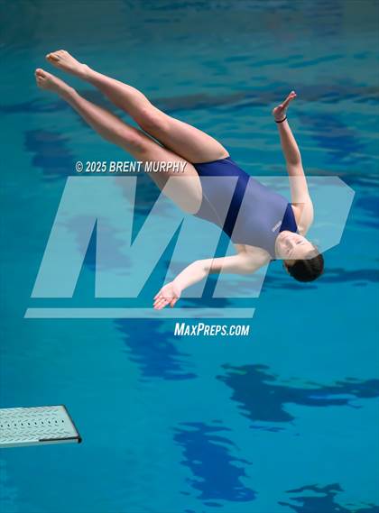Thumbnail 1 in CHSAA 4A Dive Finals photogallery.