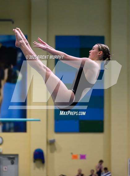 Thumbnail 3 in CHSAA 4A Dive Finals photogallery.