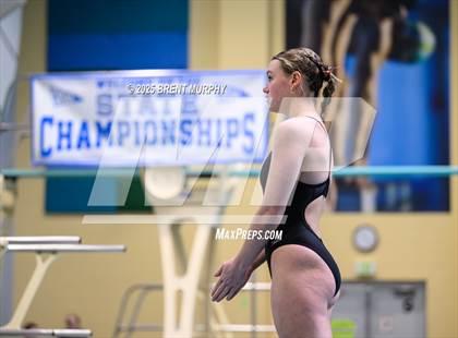 Thumbnail 2 in CHSAA 4A Dive Finals photogallery.