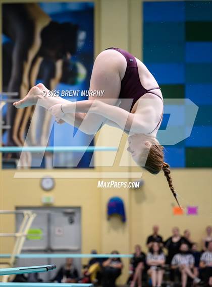 Thumbnail 3 in CHSAA 4A Dive Finals photogallery.