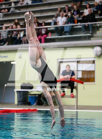 Thumbnail 3 in CHSAA 4A Dive Finals photogallery.