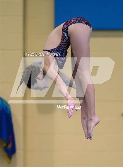 Thumbnail 3 in CHSAA 4A Dive Finals photogallery.