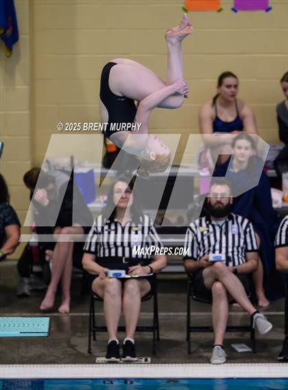 Thumbnail 1 in CHSAA 4A Dive Finals photogallery.