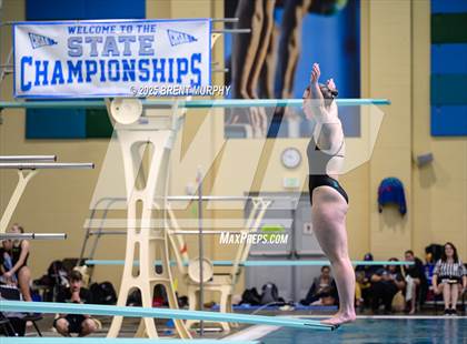 Thumbnail 1 in CHSAA 4A Dive Finals photogallery.