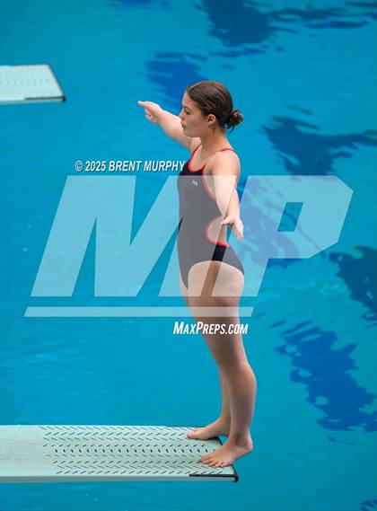 Thumbnail 2 in CHSAA 4A Dive Finals photogallery.