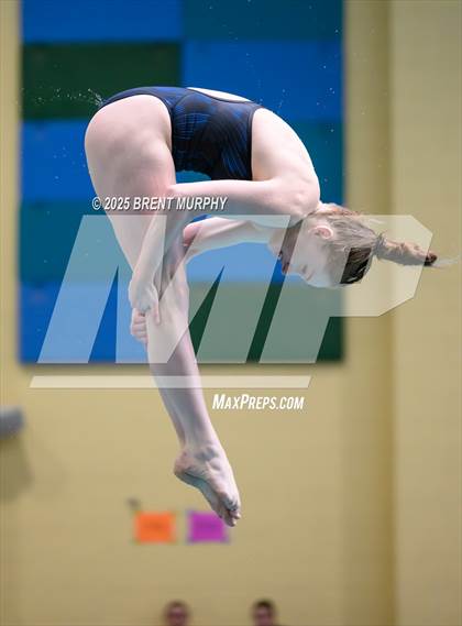 Thumbnail 1 in CHSAA 4A Dive Finals photogallery.