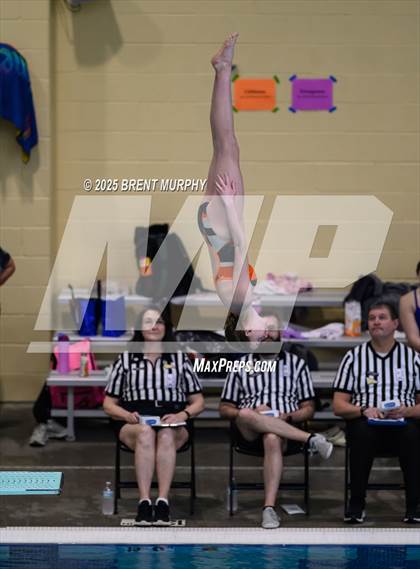Thumbnail 1 in CHSAA 4A Dive Finals photogallery.