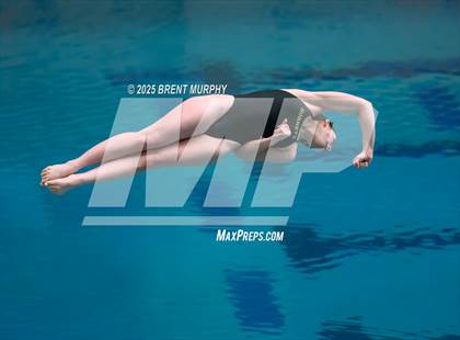 Thumbnail 2 in CHSAA 4A Dive Finals photogallery.