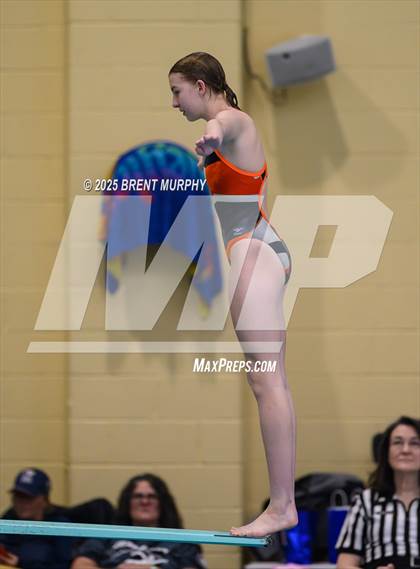 Thumbnail 2 in CHSAA 4A Dive Finals photogallery.