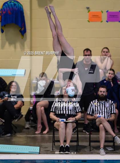 Thumbnail 2 in CHSAA 4A Dive Finals photogallery.