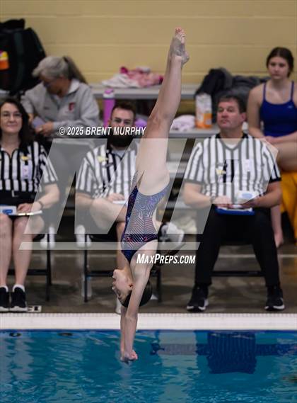 Thumbnail 3 in CHSAA 4A Dive Finals photogallery.