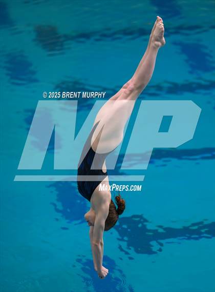 Thumbnail 2 in CHSAA 4A Dive Finals photogallery.