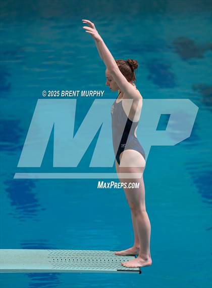 Thumbnail 1 in CHSAA 4A Dive Finals photogallery.