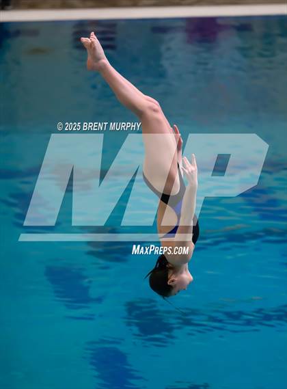Thumbnail 1 in CHSAA 4A Dive Finals photogallery.