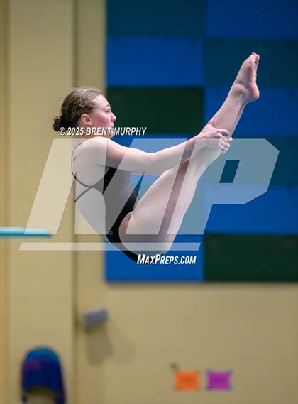 Thumbnail 2 in CHSAA 4A Dive Finals photogallery.
