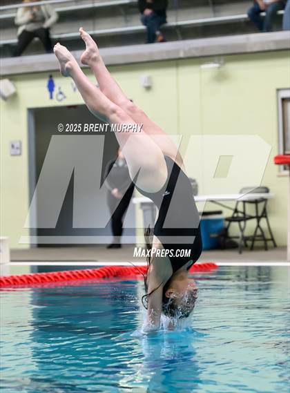 Thumbnail 1 in CHSAA 4A Dive Finals photogallery.