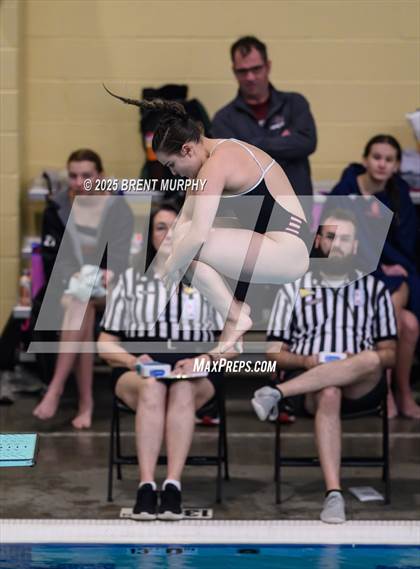 Thumbnail 1 in CHSAA 4A Dive Finals photogallery.