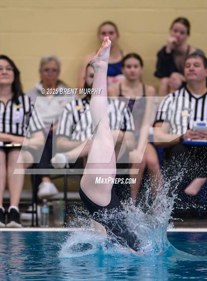 Thumbnail 1 in CHSAA 4A Dive Finals photogallery.