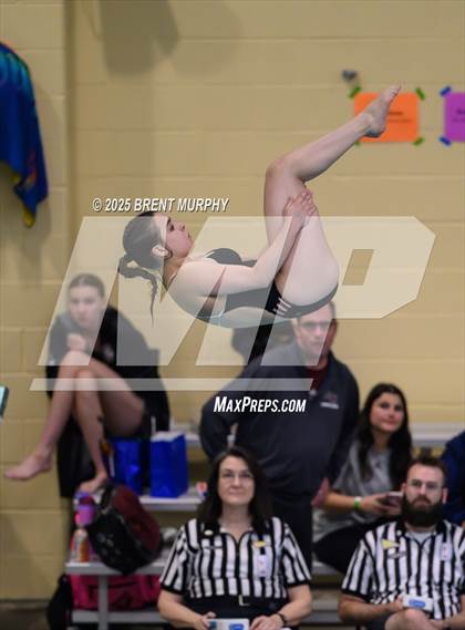 Thumbnail 3 in CHSAA 4A Dive Finals photogallery.