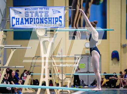 Thumbnail 1 in CHSAA 4A Dive Finals photogallery.