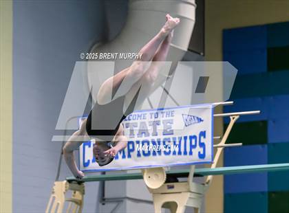 Thumbnail 2 in CHSAA 4A Dive Finals photogallery.