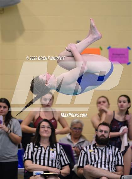 Thumbnail 2 in CHSAA 4A Dive Finals photogallery.
