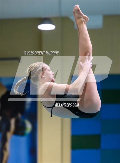Thumbnail 1 in CHSAA 4A Dive Finals photogallery.