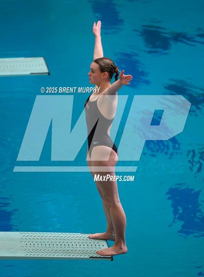 Thumbnail 3 in CHSAA 4A Dive Finals photogallery.