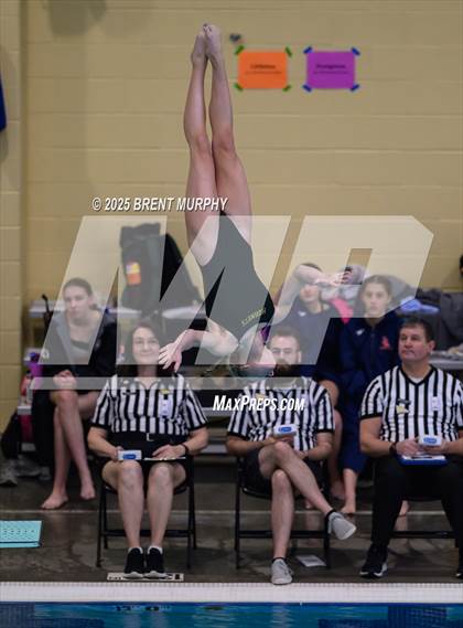 Thumbnail 2 in CHSAA 4A Dive Finals photogallery.