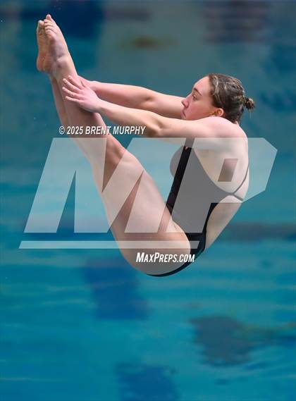 Thumbnail 1 in CHSAA 4A Dive Finals photogallery.