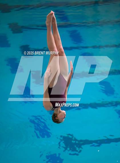 Thumbnail 2 in CHSAA 4A Dive Finals photogallery.