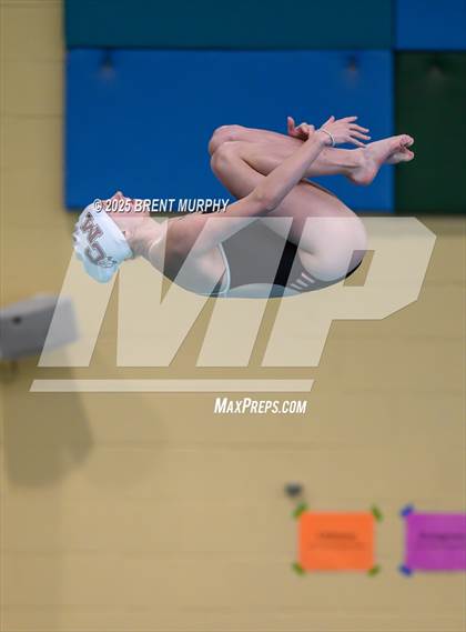 Thumbnail 3 in CHSAA 4A Dive Finals photogallery.