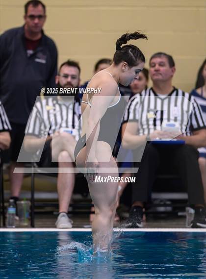 Thumbnail 1 in CHSAA 4A Dive Finals photogallery.