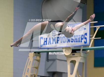 Thumbnail 2 in CHSAA 4A Dive Finals photogallery.