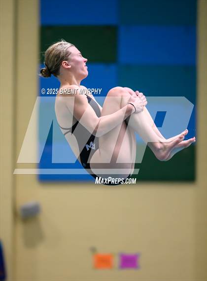 Thumbnail 1 in CHSAA 4A Dive Finals photogallery.