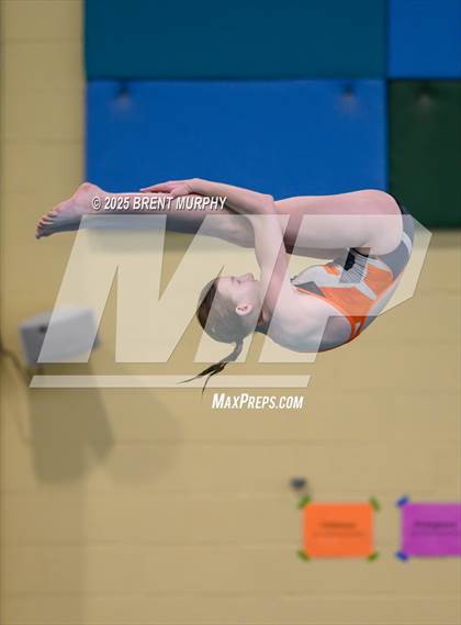 Thumbnail 1 in CHSAA 4A Dive Finals photogallery.