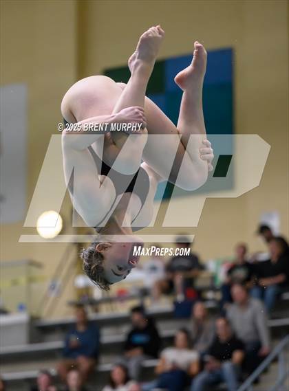 Thumbnail 2 in CHSAA 4A Dive Finals photogallery.