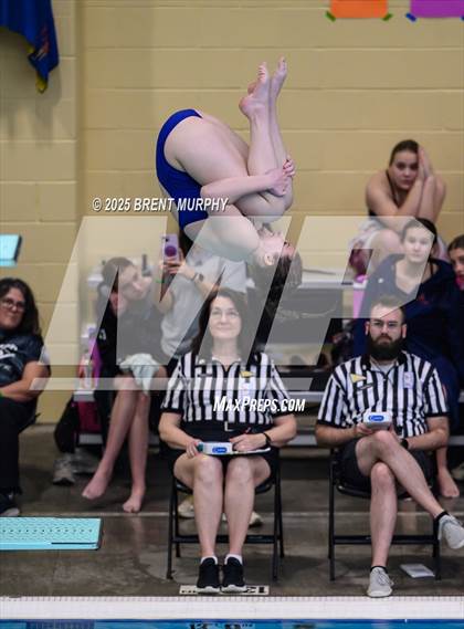 Thumbnail 1 in CHSAA 4A Dive Finals photogallery.