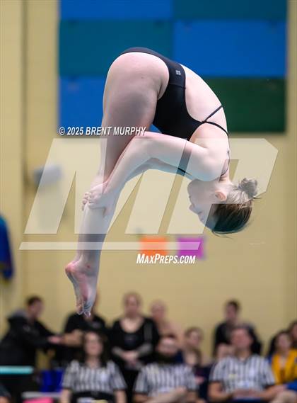 Thumbnail 3 in CHSAA 4A Dive Finals photogallery.