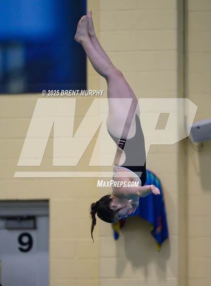 Thumbnail 2 in CHSAA 4A Dive Finals photogallery.