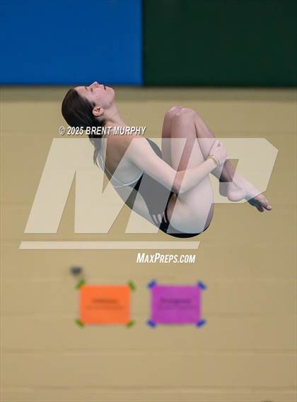 Thumbnail 2 in CHSAA 4A Dive Finals photogallery.