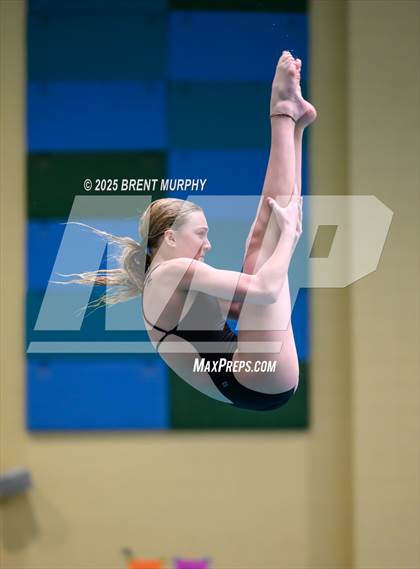 Thumbnail 3 in CHSAA 4A Dive Finals photogallery.