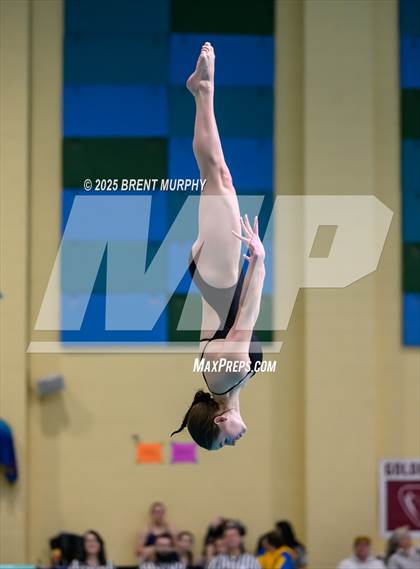 Thumbnail 3 in CHSAA 4A Dive Finals photogallery.