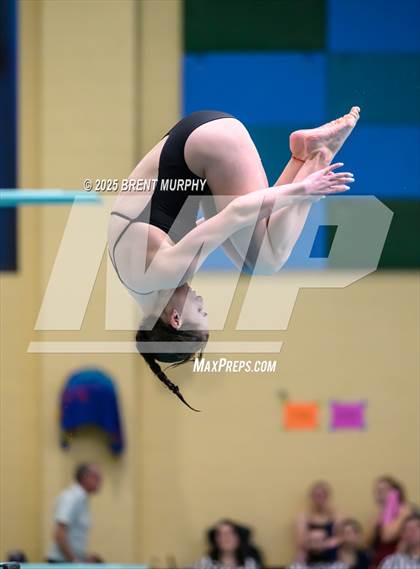 Thumbnail 3 in CHSAA 4A Dive Finals photogallery.